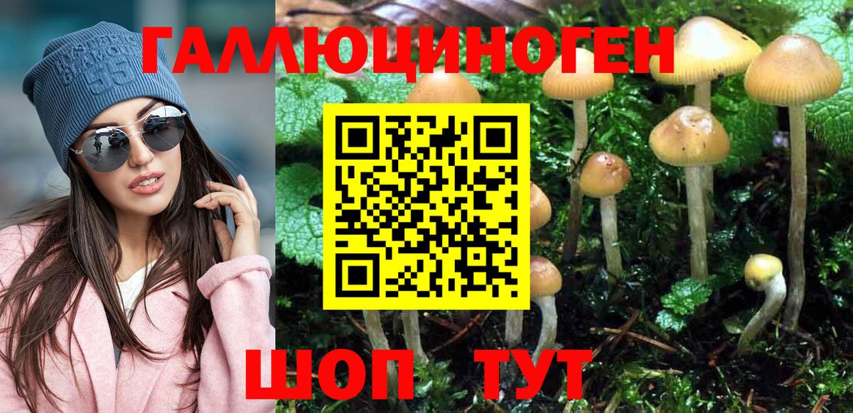 Галлюциногенные грибы MAGIC MUSHROOMS Выборг