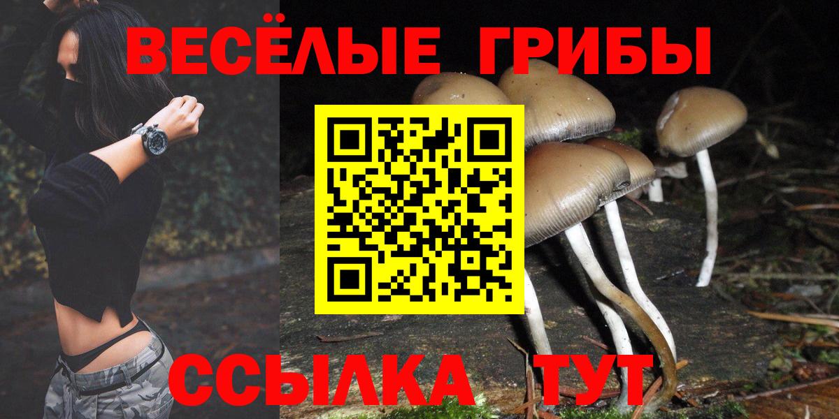 Галлюциногенные грибы Psilocybine cubensis  Псилоцибиновые грибы прущие грибы  Вход с VPN  Выборг 